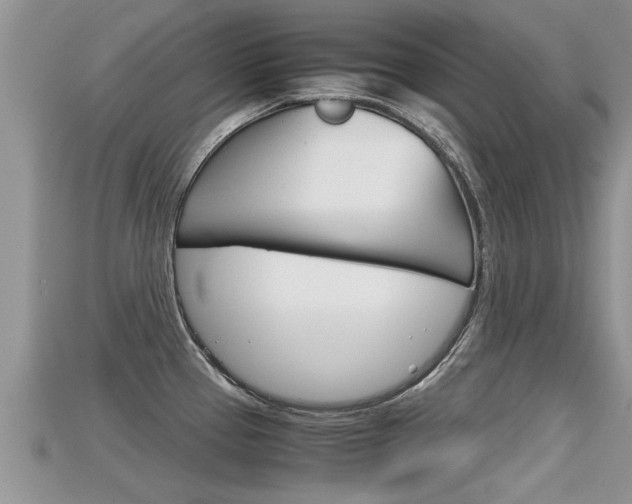 X0000115681337200911120939
