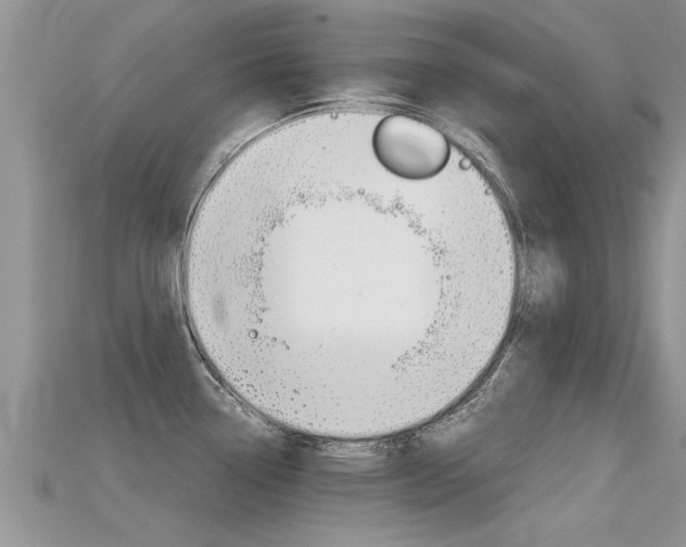 X0000115681338200911120939