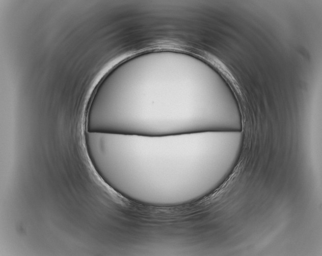 X0000115681339200911120939