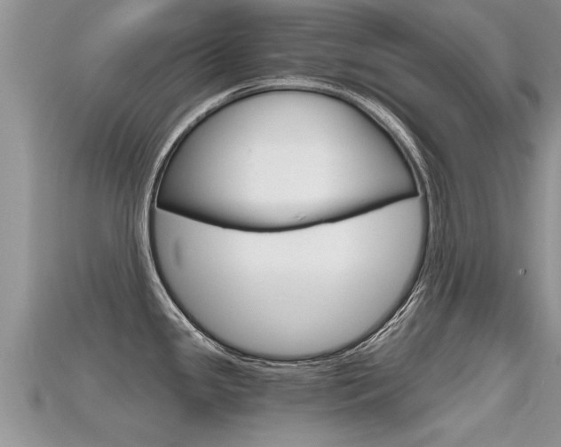 X0000115681341200911120939