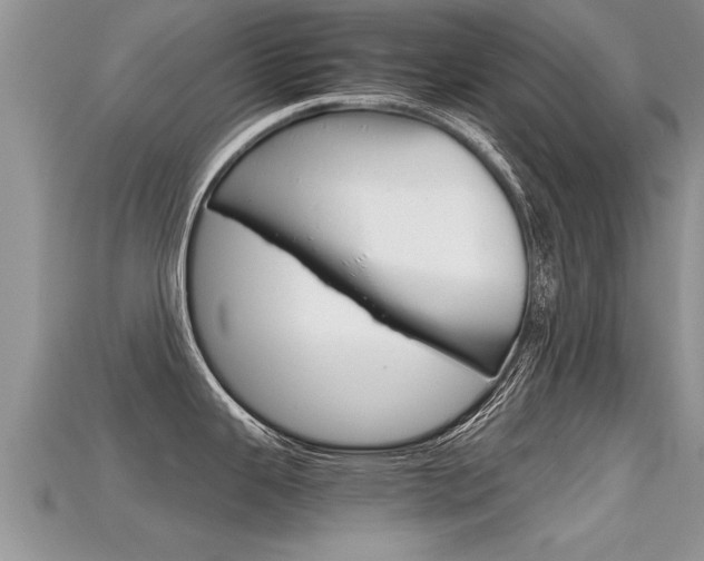 X0000115681343200911120939