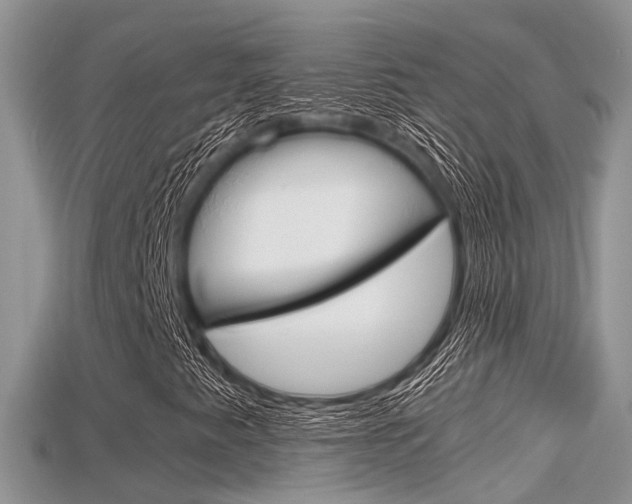 X0000115681345200911120938