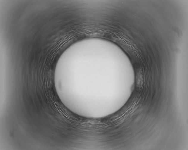 X0000115681346200911120938
