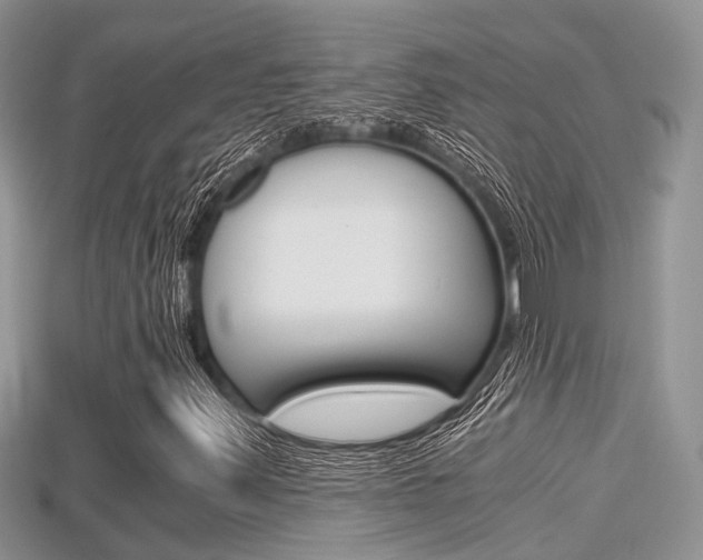 X0000115681347200911120938