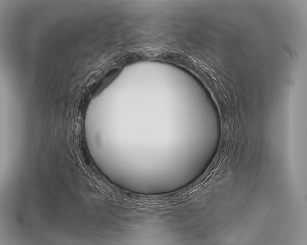 X0000115681349200911120938