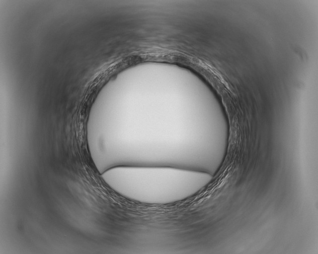 X0000115681350200911120938