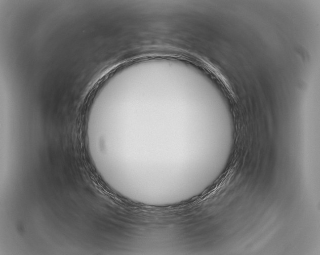 X0000115681352200911120938