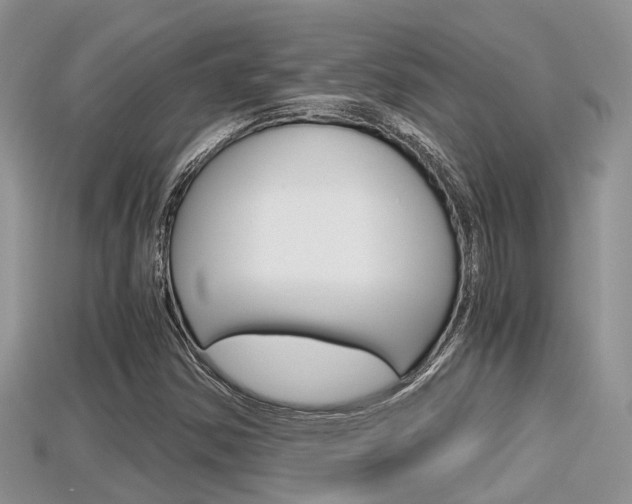 X0000115681354200911120938