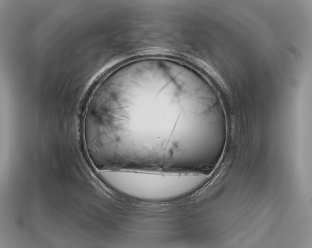 X0000115681356200911120938