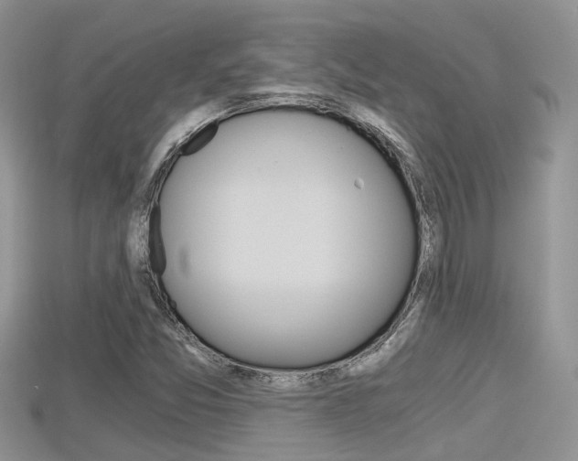 X0000115681357200911120938