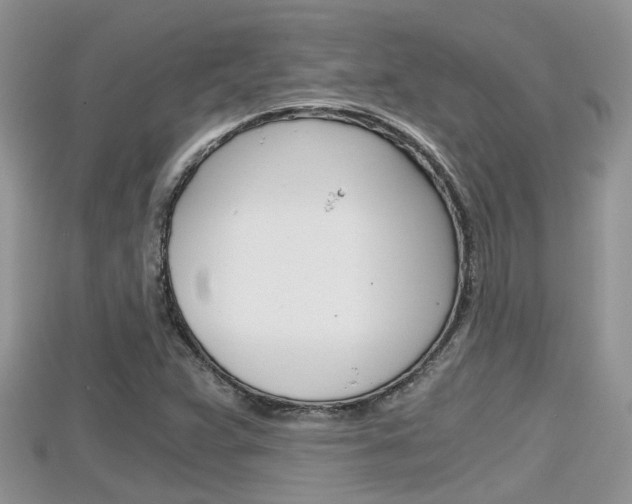 X0000115681359200911120938