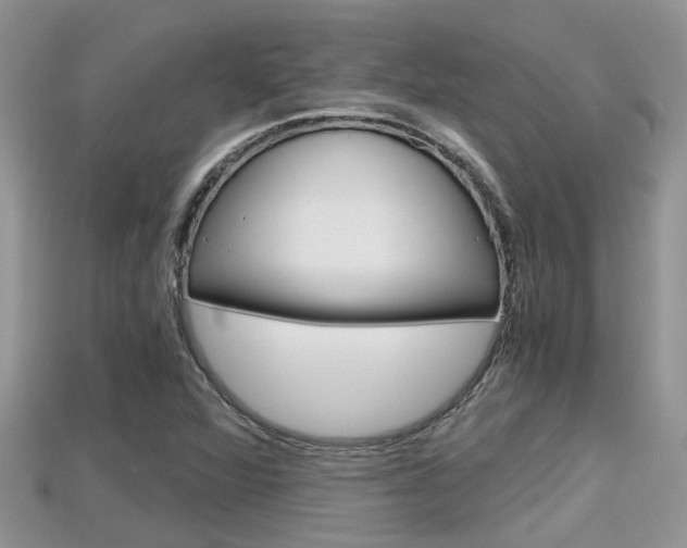 X0000115681360200911120938
