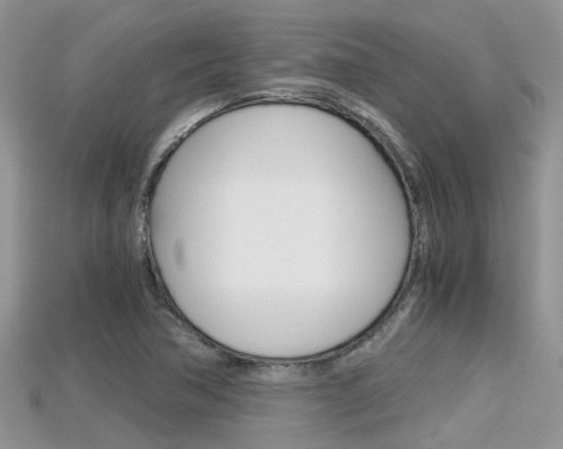X0000115681362200911120938