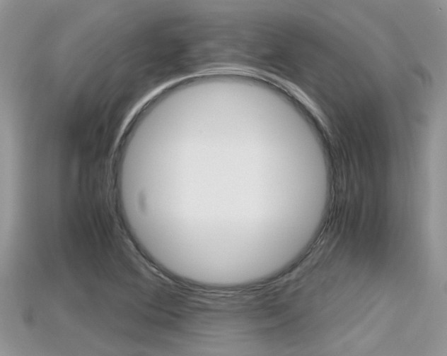 X0000115681364200911120938
