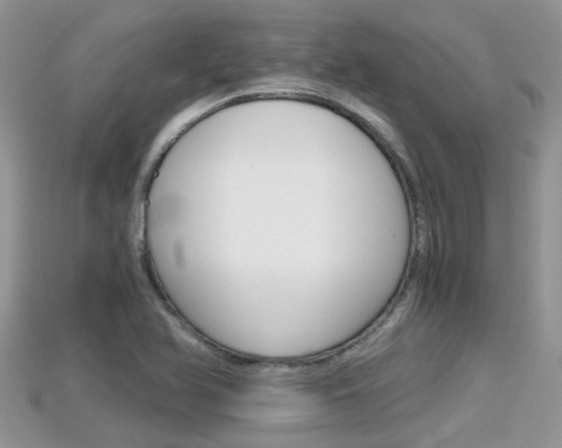 X0000115681366200911120938