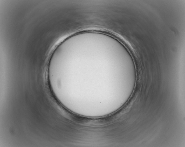 X0000115681367200911120938