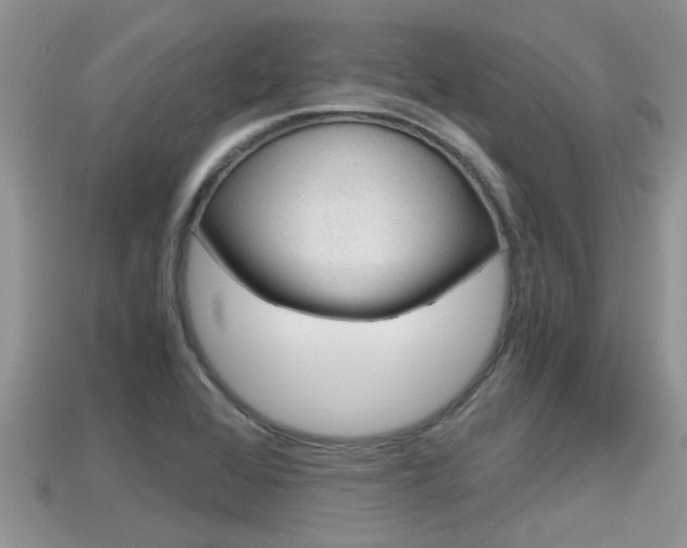 X0000115681368200911120938