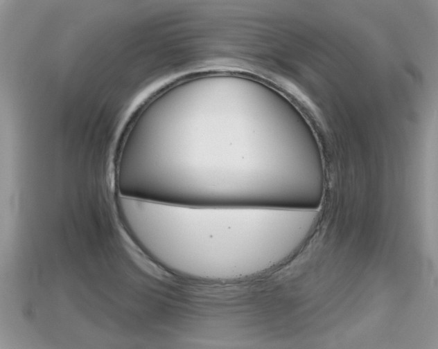 X0000115681372200911120938