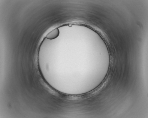 X0000115681374200911120938