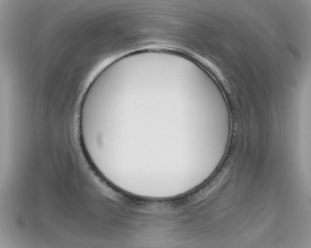 X0000115681375200911120938