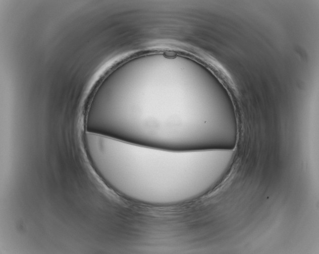 X0000115681376200911120938
