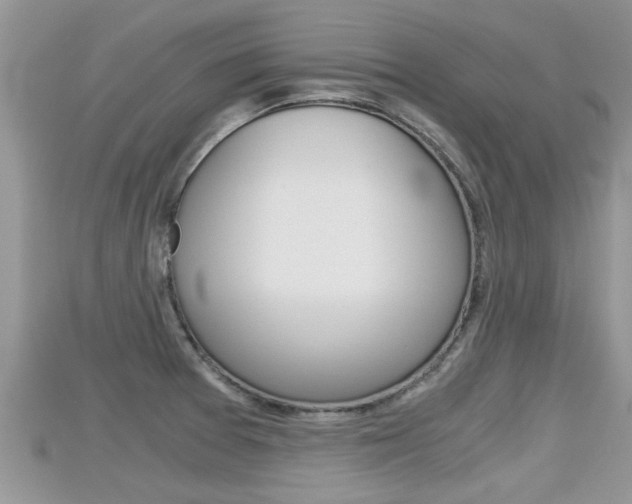 X0000115681377200911120938