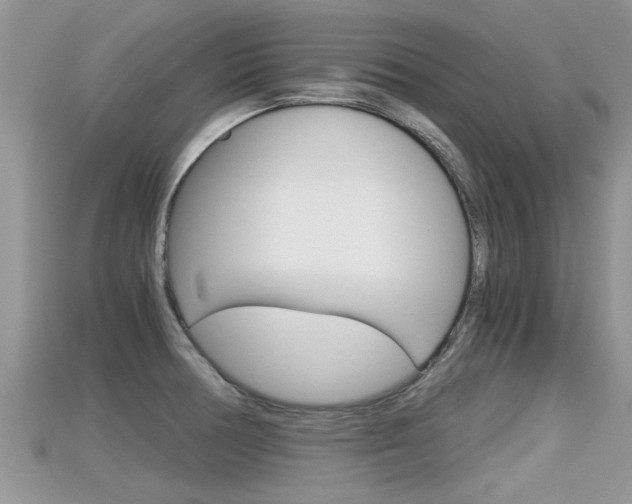 X0000115681378200911120938