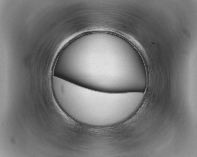 X0000115681380200911120938