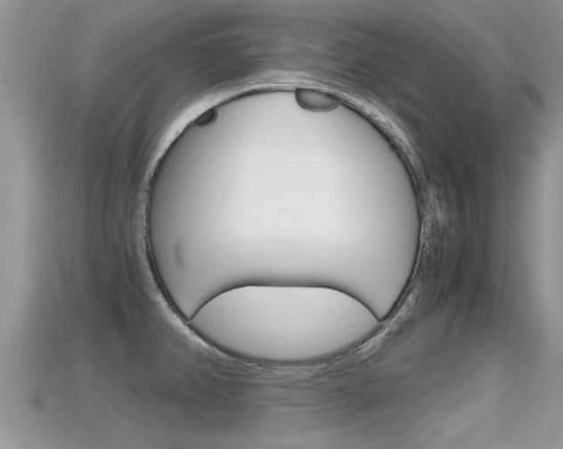 X0000115681382200911120938