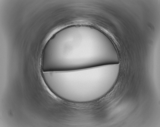 X0000115681383200911120938