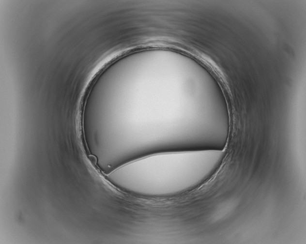 X0000115681384200911120938
