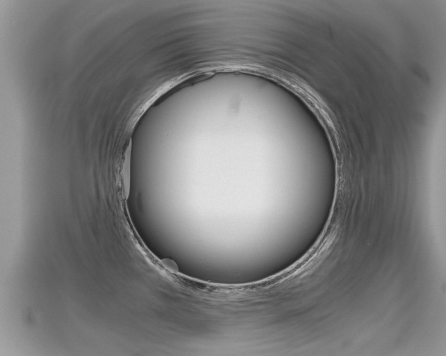 X0000115681385200911120938
