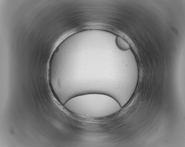 X0000115681386200911120938
