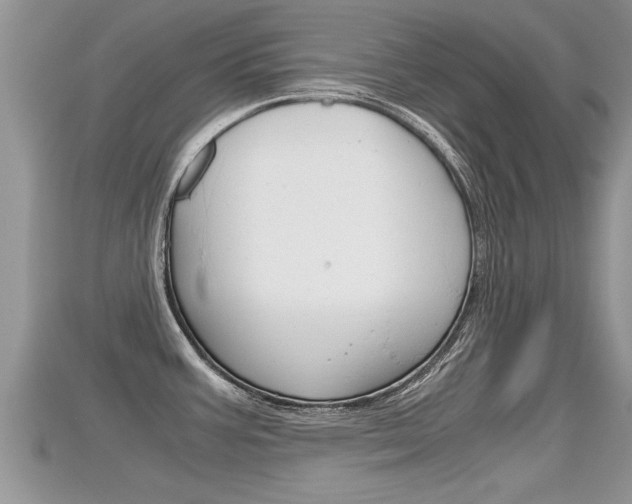 X0000115681387200911120938