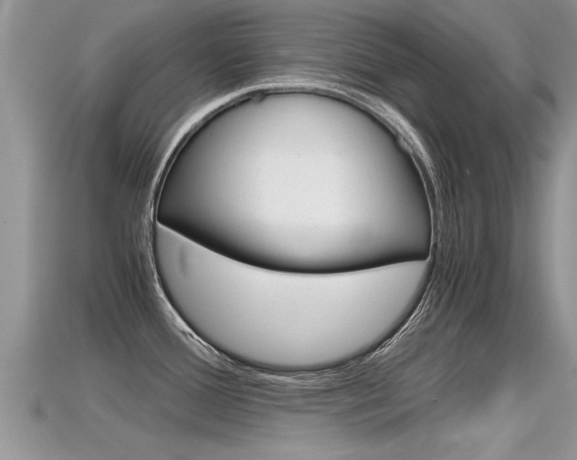 X0000115681388200911120938