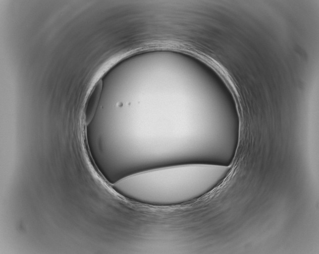 X0000115681389200911120938