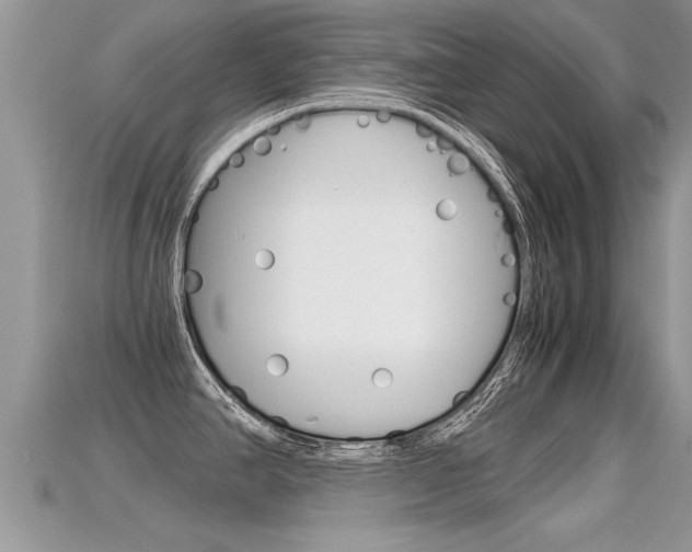 X0000115681390200911120938