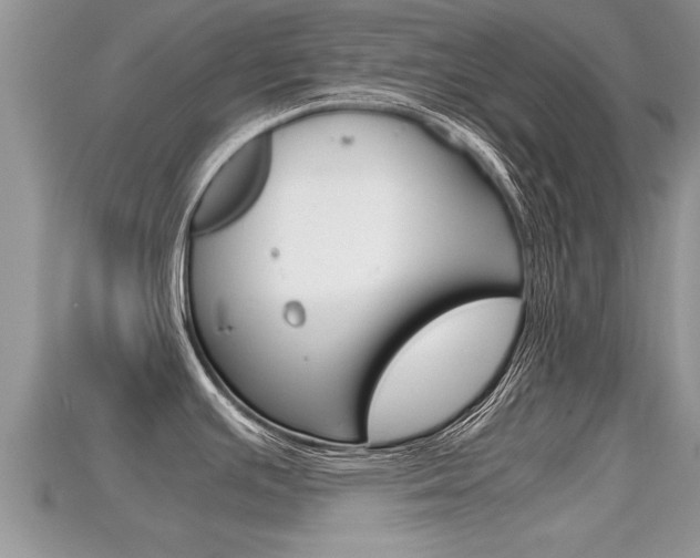 X0000115681391200911120938