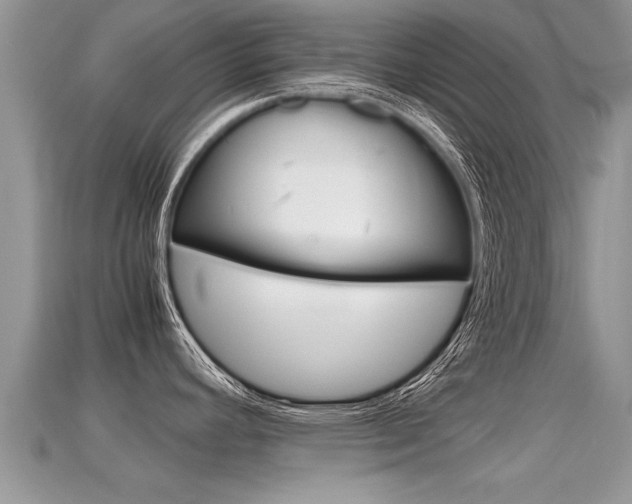 X0000115681392200911120938