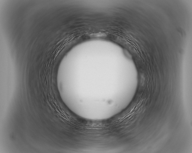 X0000115681393200911120937