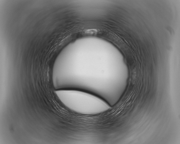 X0000115681394200911120937