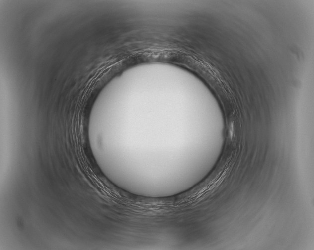 X0000115681396200911120937