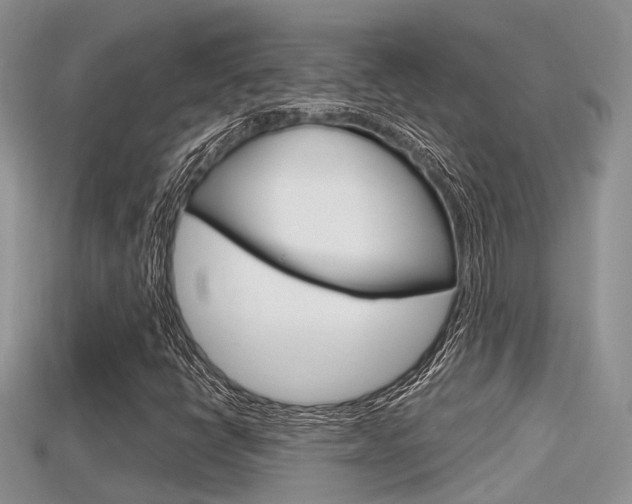 X0000115681398200911120937