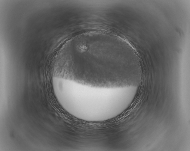 X0000115681399200911120937