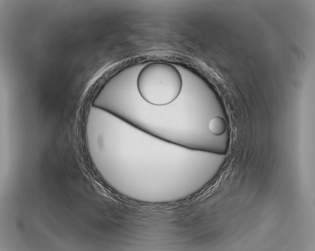 X0000115681400200911120937