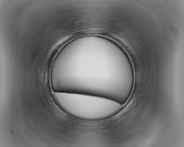 X0000115681402200911120937
