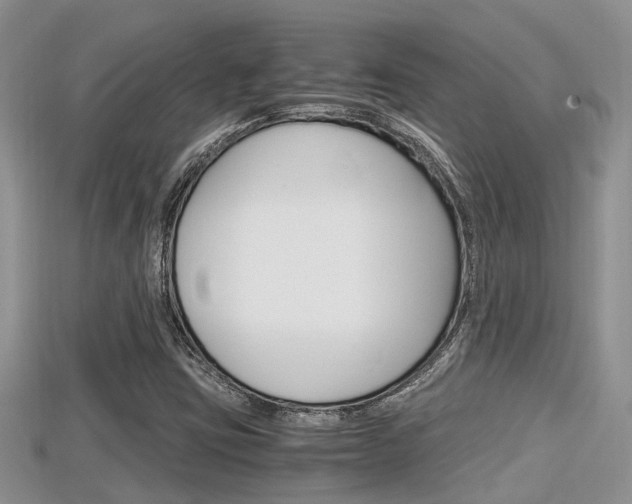 X0000115681403200911120937