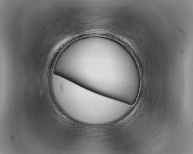 X0000115681406200911120937