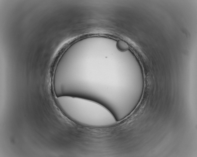 X0000115681408200911120937