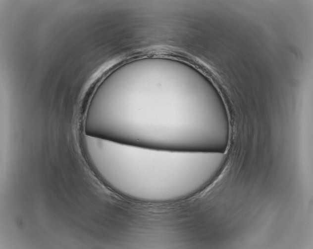 X0000115681410200911120937